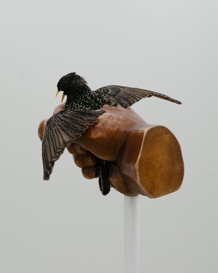 Igor Samolet, Canon, Szena Gallery, Minimalism