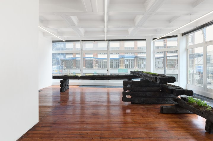 Augustas Serapinas, Potatoes and Chamomile, Emalin, Installation
