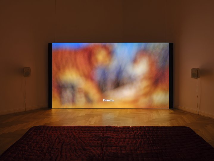 Saodat Ismailova, Amanat – As We Sleep, Kunsthalle Bern, Video Art