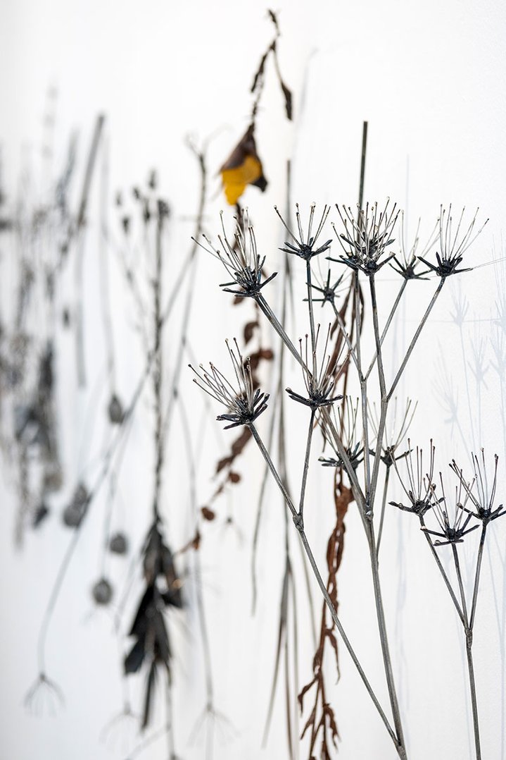 Dmitry Bulnygin, Winter Herbarium, Between the pages, Weeds