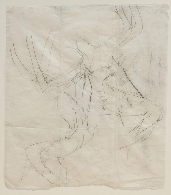Masha Sha, Graphic, Calligraphy, Burchfield Penney Art Center