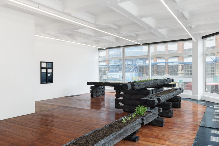 Augustas Serapinas, Potatoes and Chamomile, Emalin, Installation
