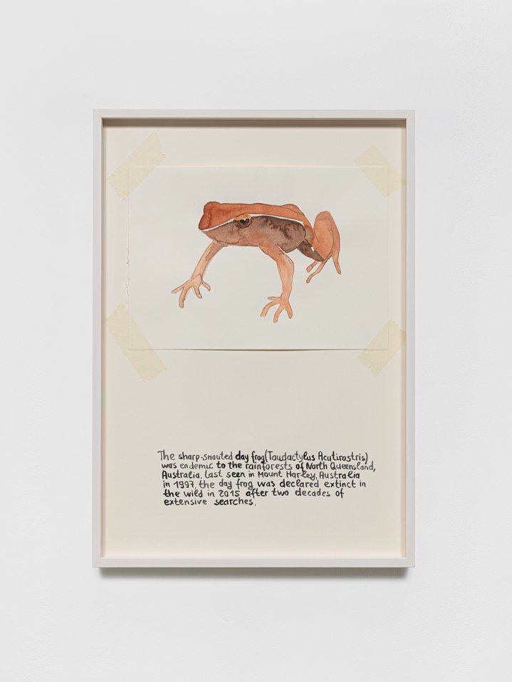 Anna Jermolaewa, You Can Count on Me, Last Seen Since 1970, Molitor Gallery