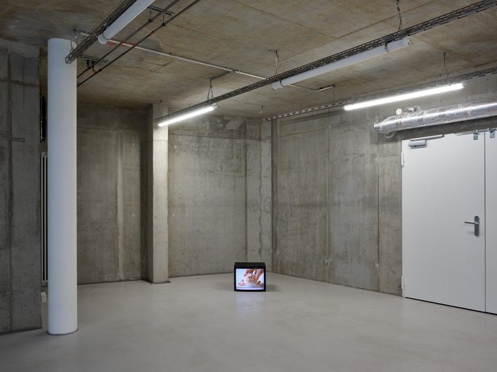 Anna Jermolaewa, You Can Count on Me, Ribs, Molitor Gallery