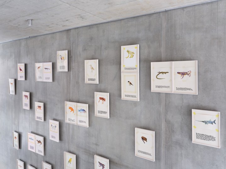 Anna Jermolaewa, You Can Count on Me, Last Seen Since 1970, Molitor Gallery