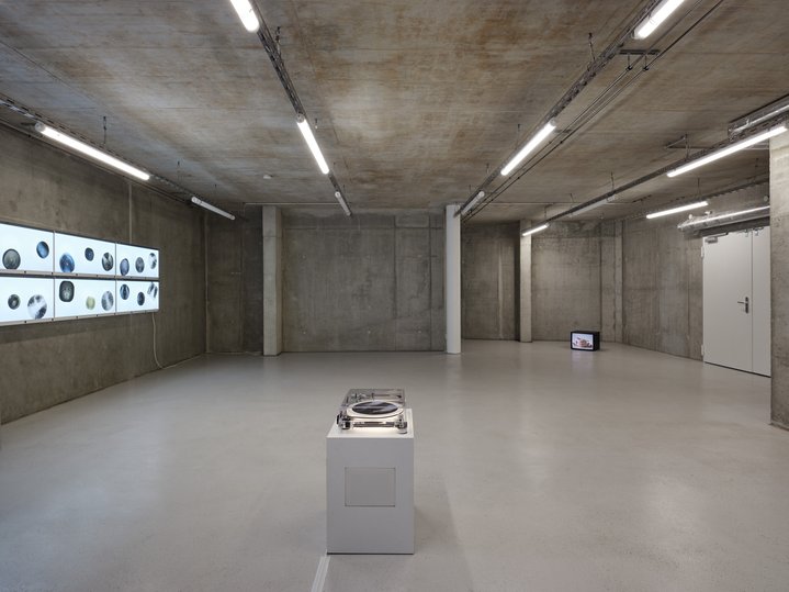 Anna Jermolaewa, You Can Count on Me, Ribs, Molitor Gallery