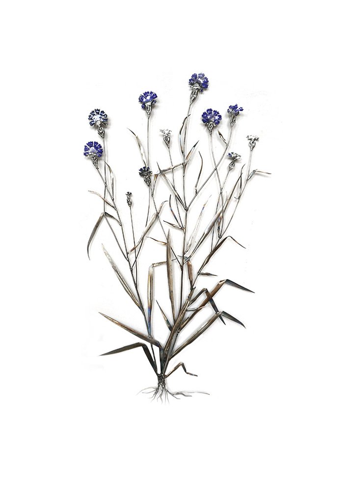 Dmitry Bulnygin, Winter Herbarium, Between the pages, Weeds