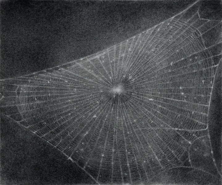 Vija Celmins, Fondation Beyeler, Basel, Latvia