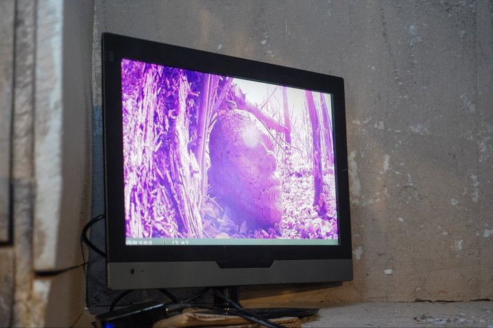 Andrey Kuzkin, The Man Who Lost His Head and Other Forest, Fabrika Centre for Creative Industries, Archive