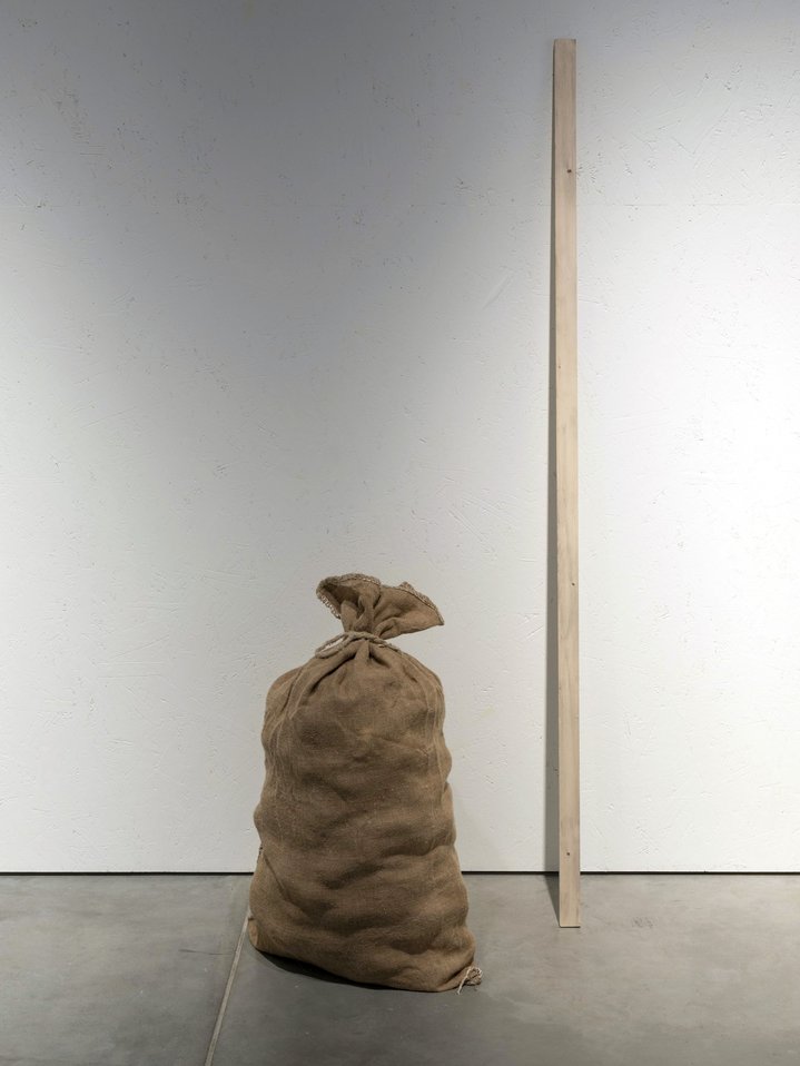Open Storage, Garage Museum of Contemporary Art, Gallery in Trekhprudny Lane, Alexander Sigutin