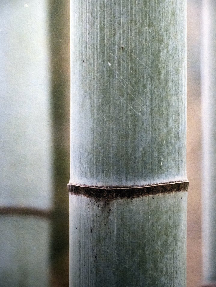 Ivan Boiko, Japanese Paper, Photograpy, Photographer