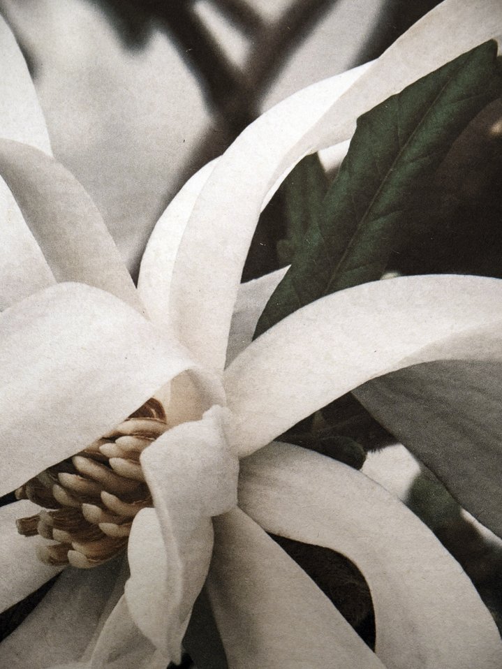 Ivan Boiko, Japanese Paper, Photograpy, Photographer