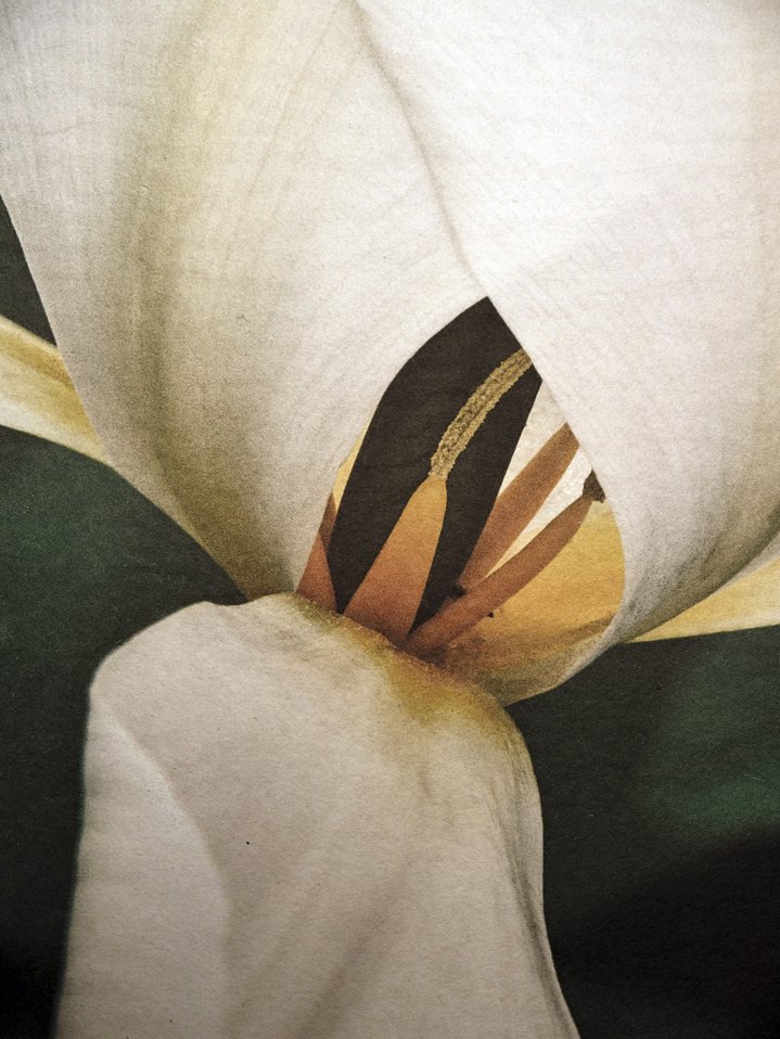 Ivan Boiko, Japanese Paper, Photograpy, Photographer