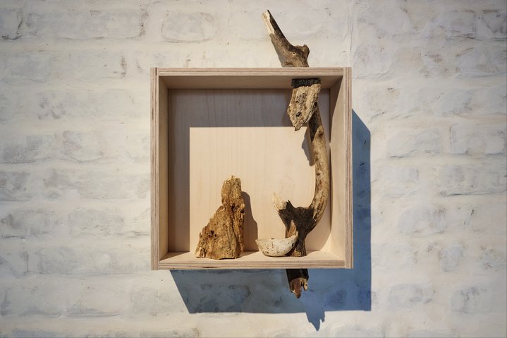 Lipetsk, Residency, Buksir Gallery, Ni maya li gor’, atsova