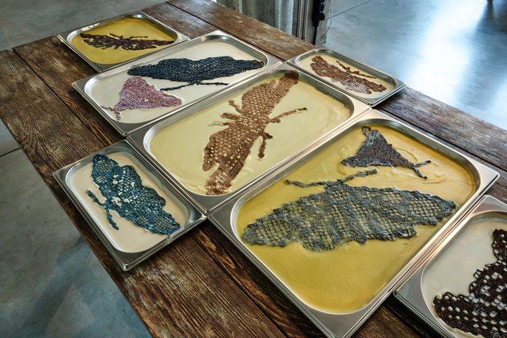 Lipetsk, Residency, Buksir Gallery, Ni maya li gor’, atsova
