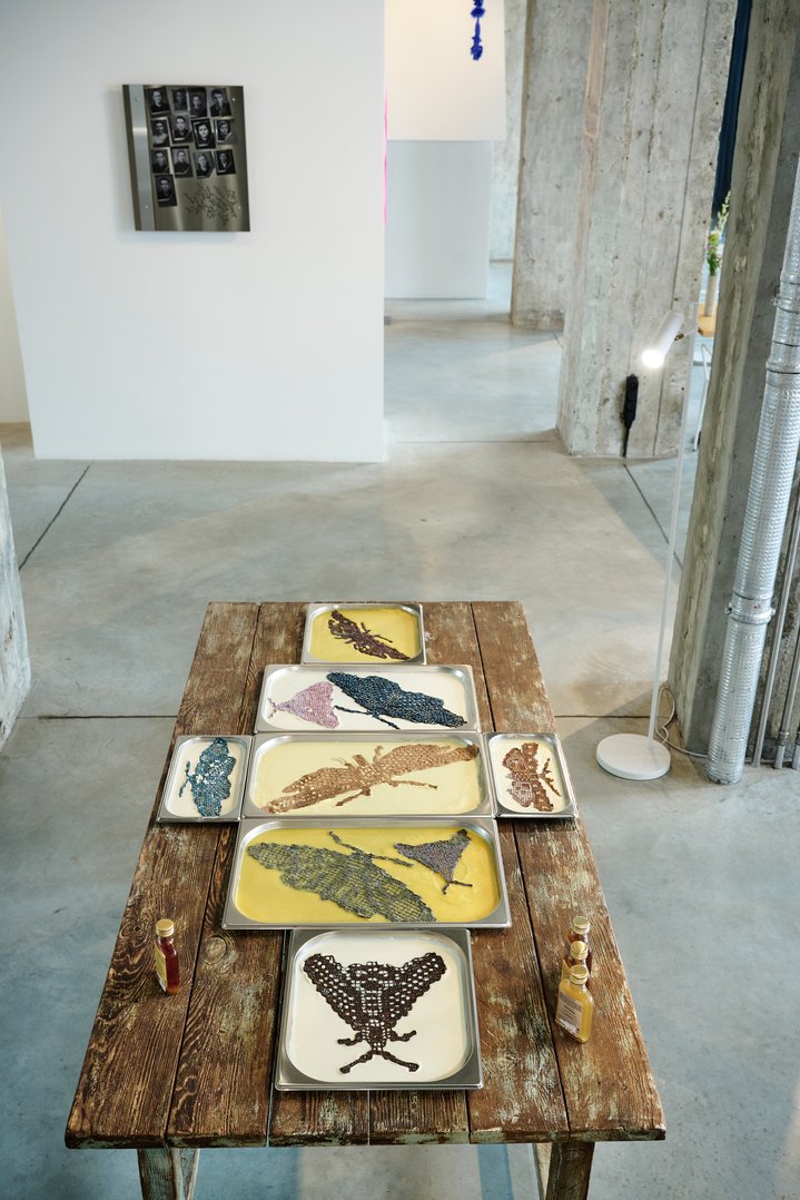 Lipetsk, Residency, Buksir Gallery, Ni maya li gor’, atsova