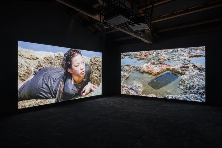 Eglė Budvytytė, Animism sings anarchy, Lithuania Pavilion,  La Biennale di Venezia, In Minor Keys