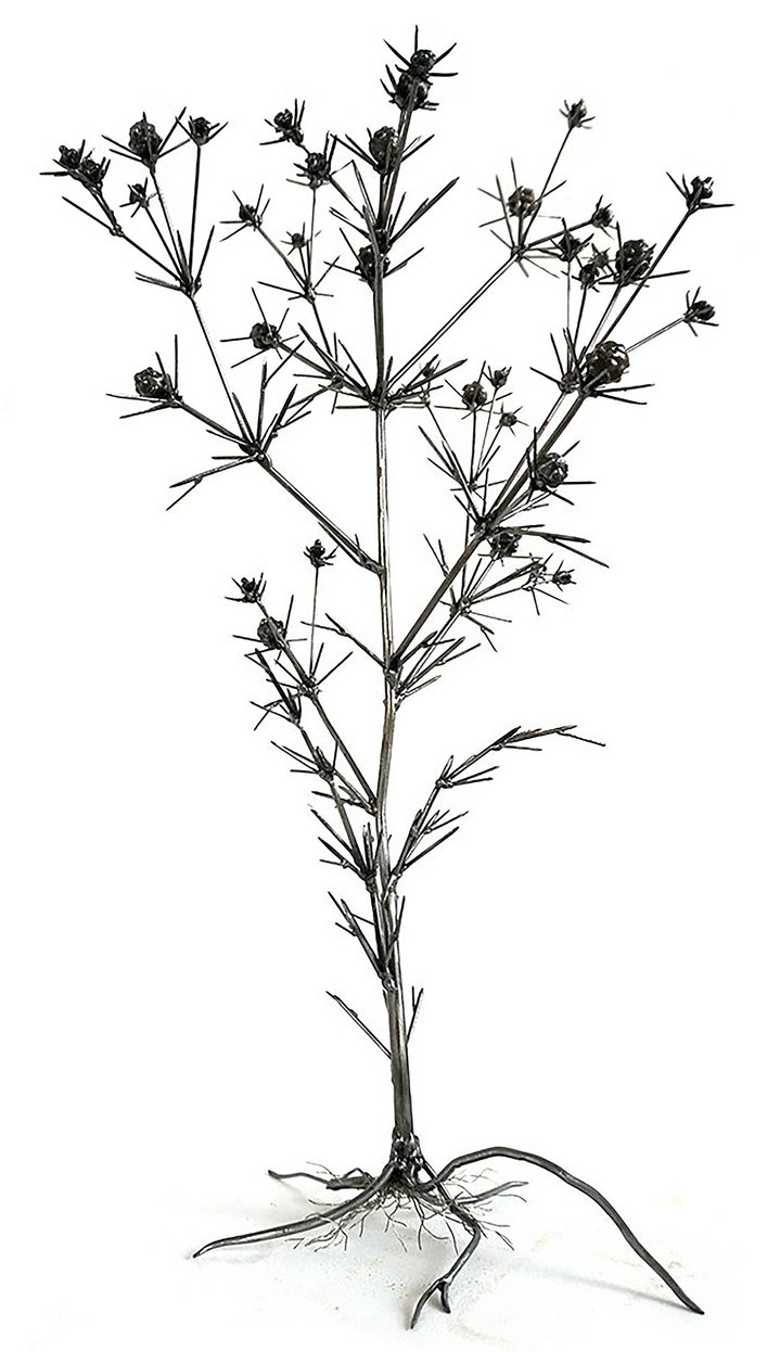 Dmitry Bulnygin, Winter Herbarium, Between the pages, Weeds