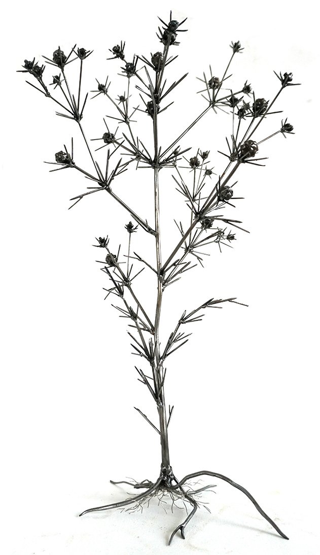 Dmitry Bulnygin, Winter Herbarium, Between the pages, Weeds