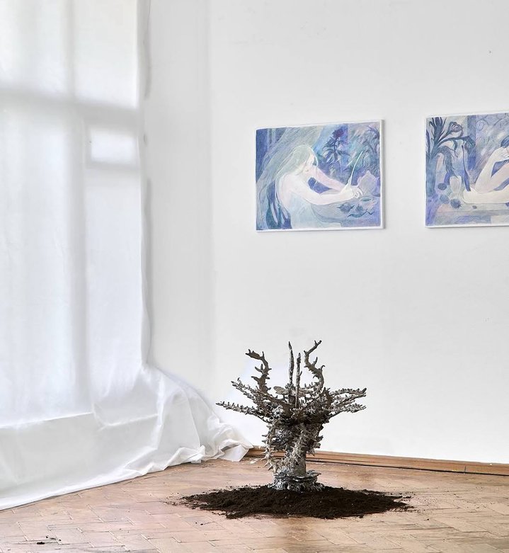 Artist-run galleries, Apartment gallery, Independent artist, Madame artist-run space