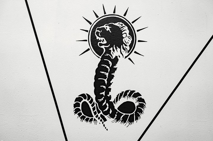 Pavel Polshchikov, Surveyor, Completely Cartesian,  Load me forever, Suck my Fibonacci, Gallery Devyatnadsat’