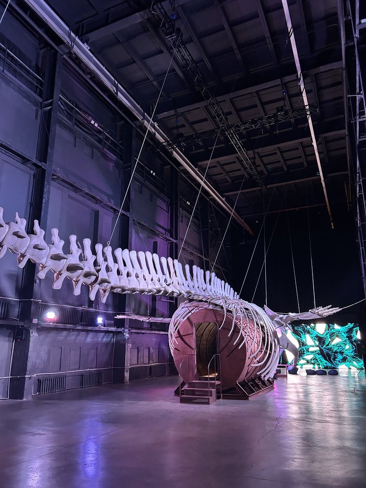 International Biennale of Environmental Art, Nizhny Novgorod, Ecobiennale, Eco-Art