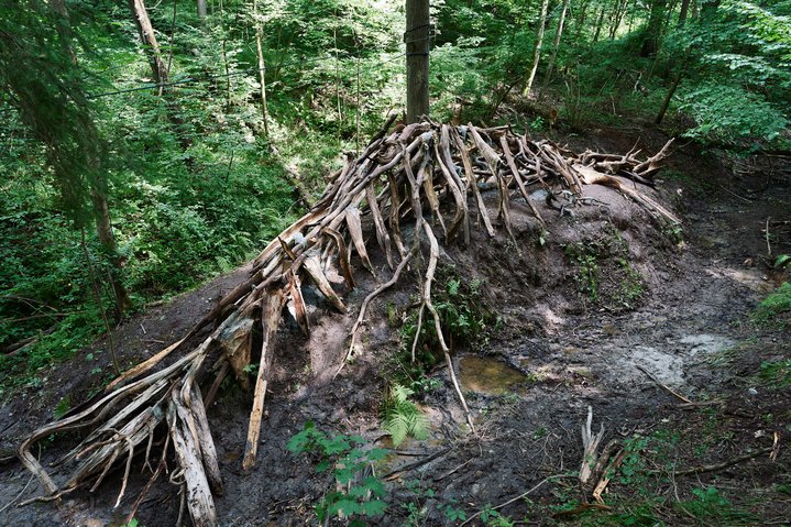 Les (Forest), Artistic-Therapeutic Trail, Zapovednoe, Public Art Festival, State Historical Museum-Reserve Gorki Leninskiye
