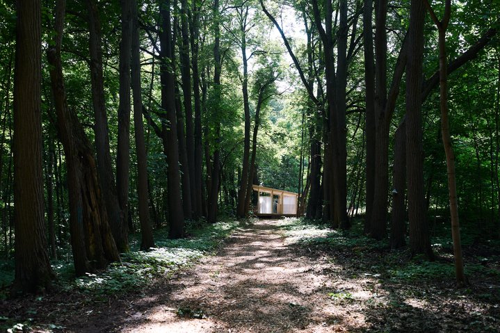 Les (Forest), Artistic-Therapeutic Trail, Zapovednoe, Public Art Festival, State Historical Museum-Reserve Gorki Leninskiye