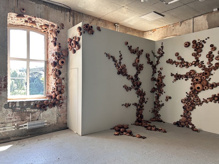 International Biennale of Environmental Art, Nizhny Novgorod, Ecobiennale, Eco-Art
