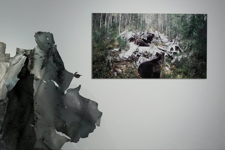 Fallout Zones, Ruarts Foundation, Igor Elukov, Polina Timofeeva, Makar Tereshin