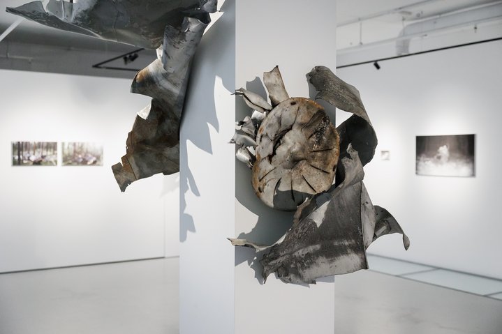Fallout Zones, Ruarts Foundation, Igor Elukov, Polina Timofeeva, Makar Tereshin