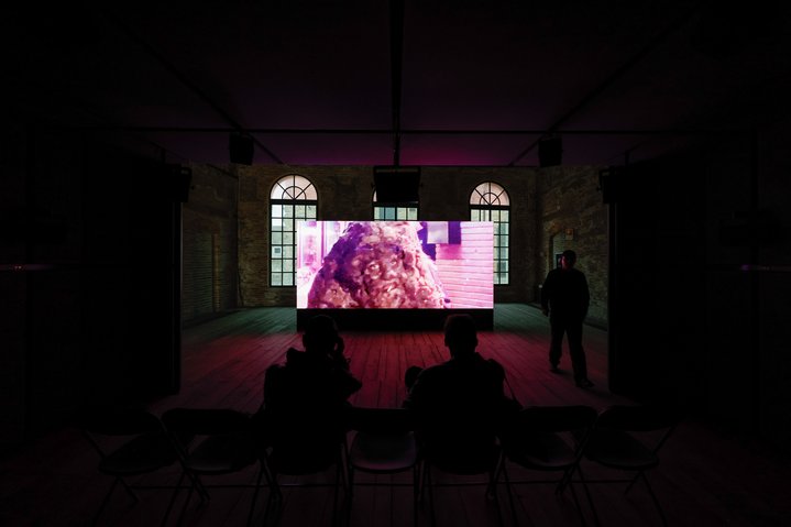 La Biennale di Venezia, In Minor Keys, Venice Biennale, Pavilion of Grand Duchy of Luxembourg, La merde