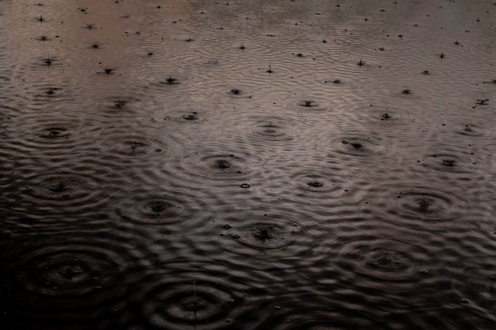 La Biennale di Venezia, In Minor Keys, Venice Biennale, Pavilion of Israel, Rose of Nothingness