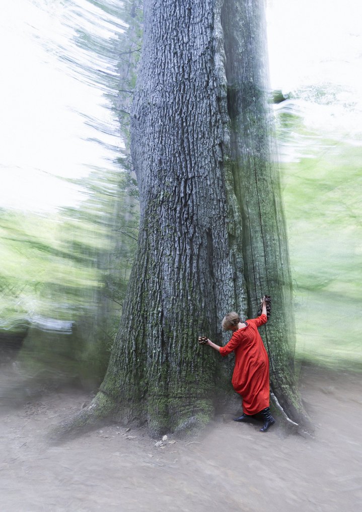 Olga Kisseleva, Oaks That Think They Are Baobabs, Le Bel Ordinaire, Ecology