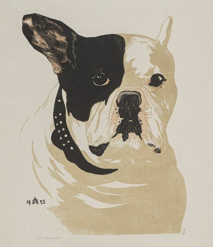 Life of Remarkable Dogs, State Russian Museum, Dogs, Anna Ostoumova-Lebedeva