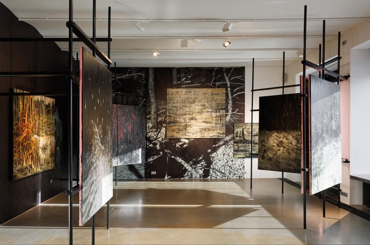 Petr Shvetsov, Swamp, Gisich Gallery, No. 14