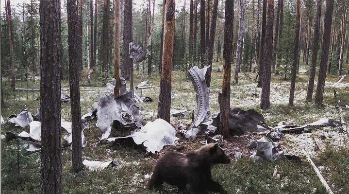 Fallout Zones, Ruarts Foundation, Igor Elukov, Polina Timofeeva, Makar Tereshin