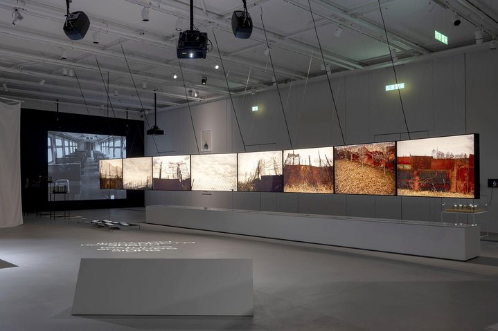 Olga Chernysheva, Dream Street, GES-2 House of Culture, Viktor Misiano