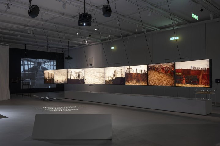 Olga Chernysheva, Dream Street, GES-2 House of Culture, Viktor Misiano