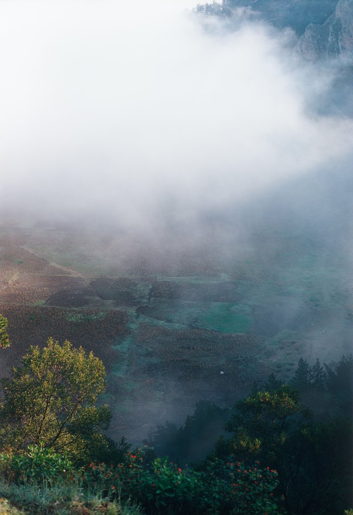 Victoria Gallery, Most Beautiful Place I’ve Ever Been, V-A-C Foundation, Wolfgang Tillmans