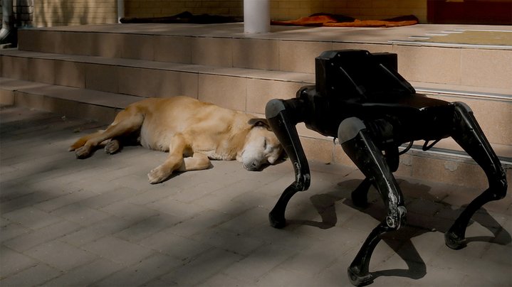 Roman Khimei, Yarema Malashchuk, Pedagogies of War, Thyssen-Bornemisza Museum