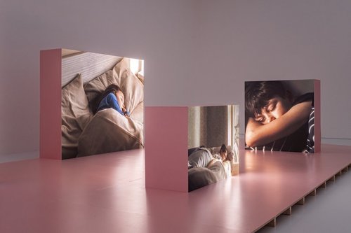 Black Dogs in Europe: Past and Present