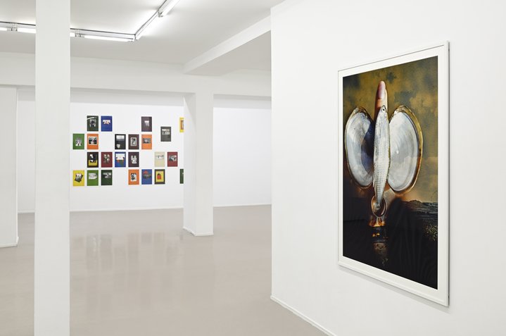 Boris Mikhailov, Color Backgrounds,  Reverse Perspective, Galerie Suzanne Tarasieve