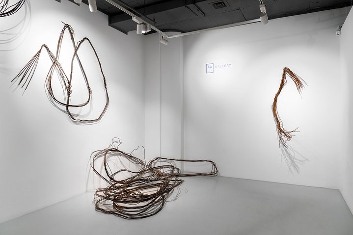 Anya Zholud, Paragraph, PA Gallery, Obituary