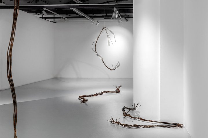 Anya Zholud, Paragraph, PA Gallery, Obituary