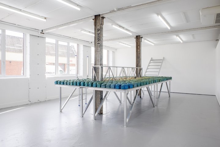 Augustas Serapinas, Potatoes and Chamomile, Emalin, Installation