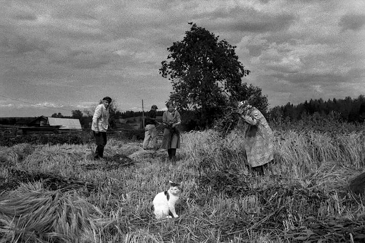 Ivan Boiko, Old Believers, Photograpy, Photographer