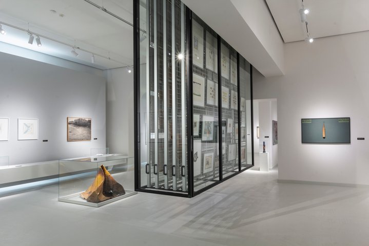 Vladimir Tarasov, Protest Art: The Rebels of Soviet Era, Radvila Palace Museum of Art, Collection