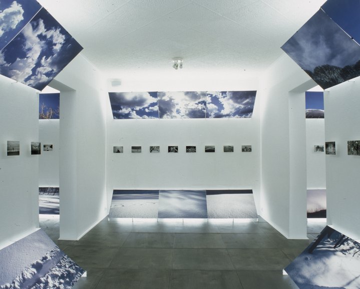 gallery, exhibition, contemporary art