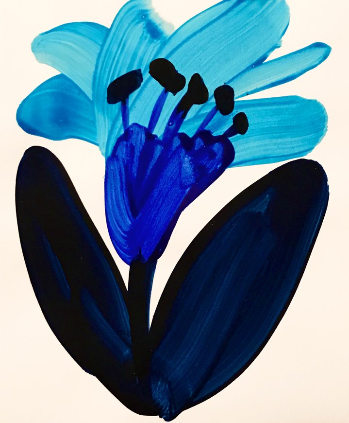Turquoise, flower, graphic art